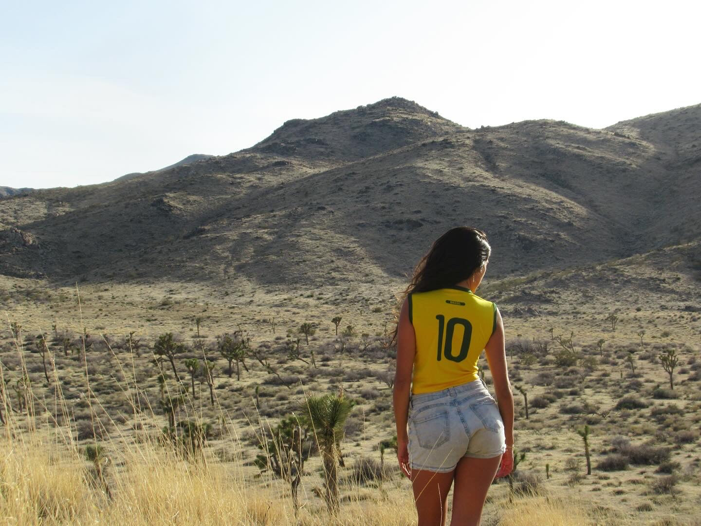 Camisa 10 Sleeveless Brazil Jersey